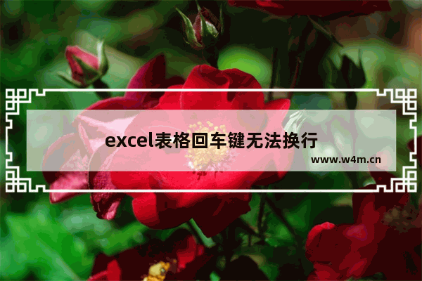 excel表格回车键无法换行