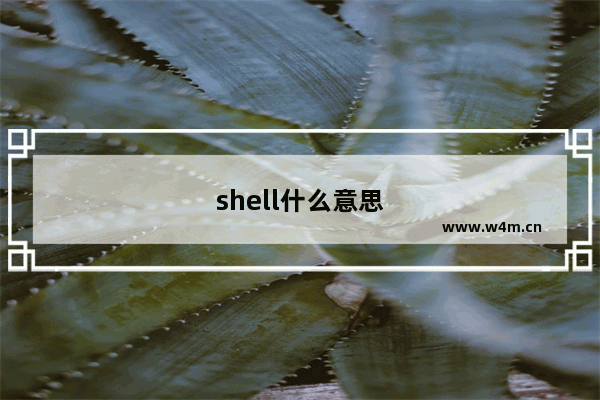 shell什么意思