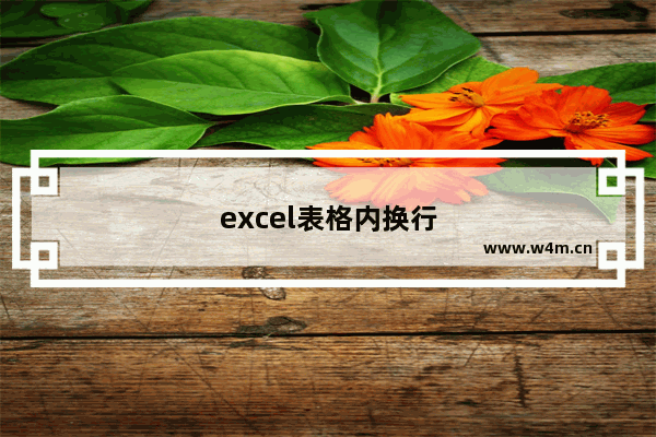 excel表格内换行