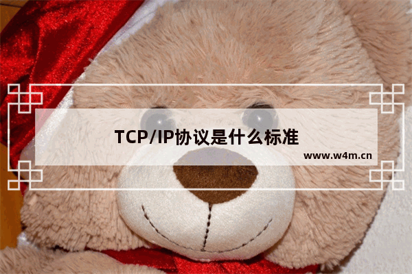 TCP/IP协议是什么标准