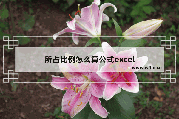 所占比例怎么算公式excel