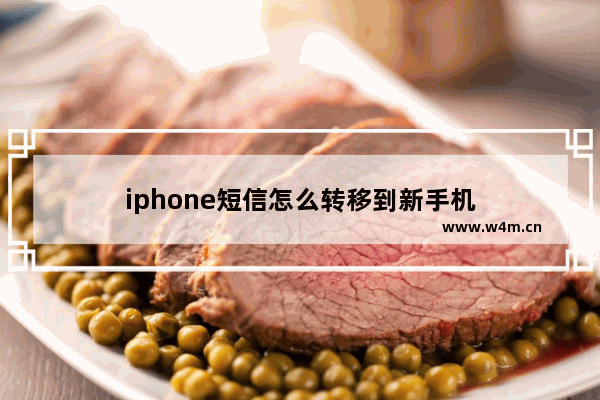 iphone短信怎么转移到新手机