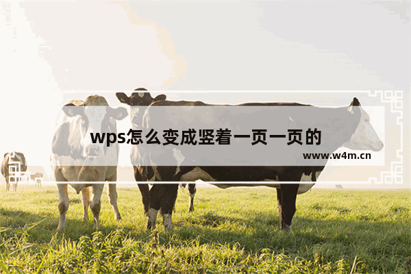 wps怎么变成竖着一页一页的