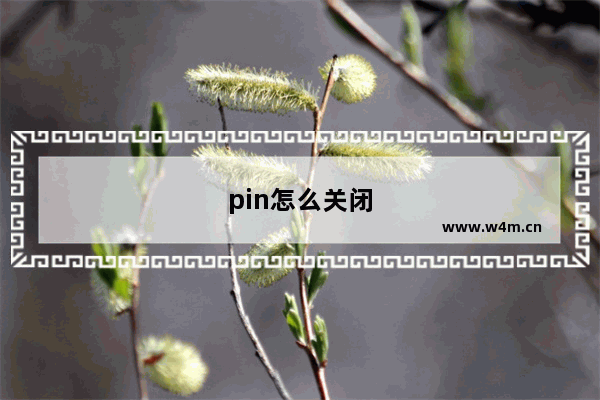 pin怎么关闭