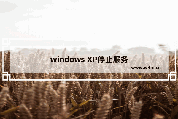 windows XP停止服务