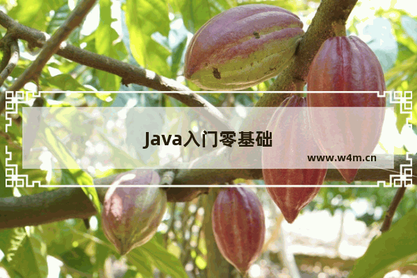 Java入门零基础