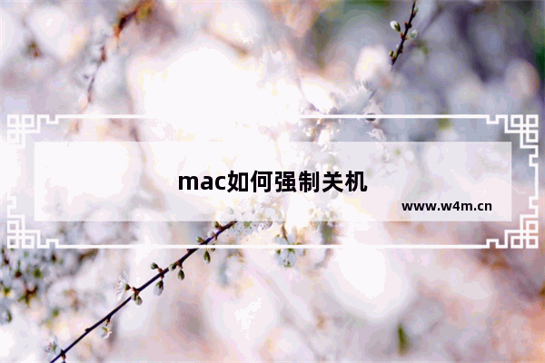 mac如何强制关机