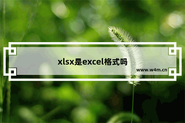 xlsx是excel格式吗