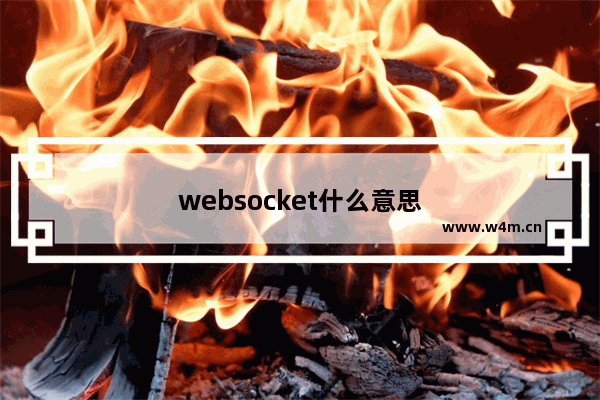 websocket什么意思