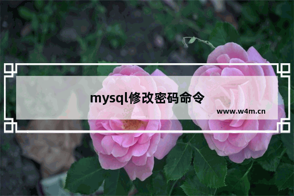 mysql修改密码命令