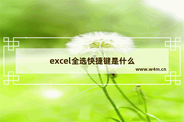 excel全选快捷键是什么