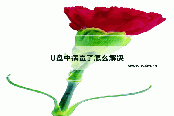 U盘中病毒了怎么解决