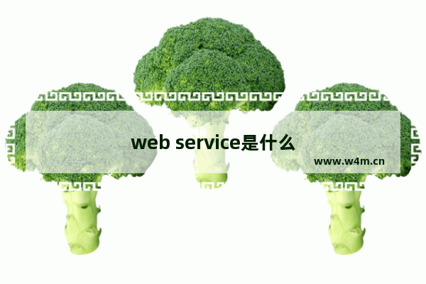 web service是什么