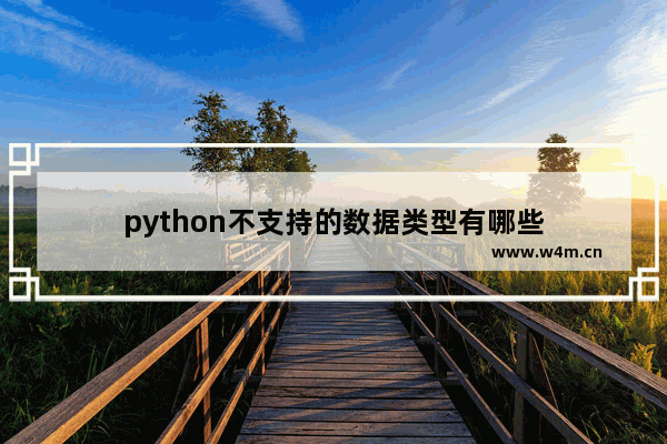 python不支持的数据类型有哪些