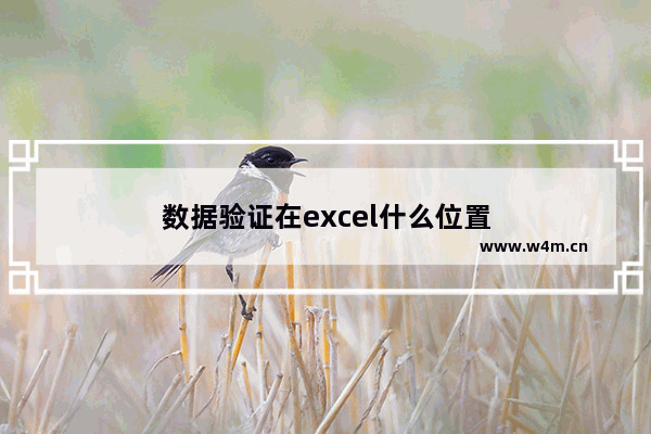 数据验证在excel什么位置