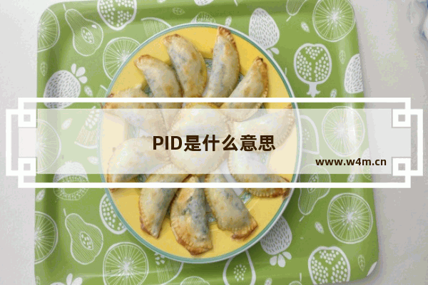 PID是什么意思