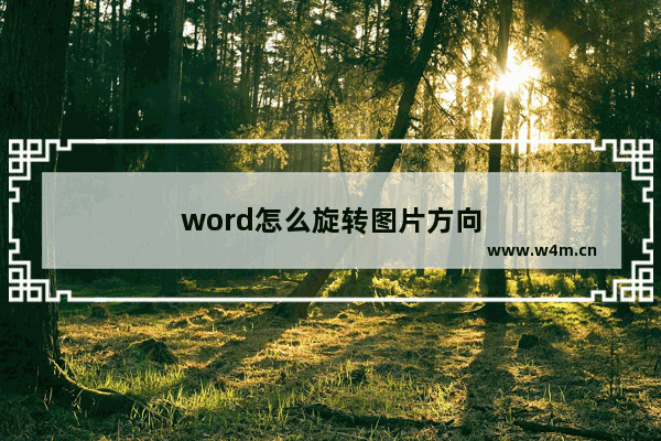 word怎么旋转图片方向