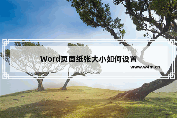 Word页面纸张大小如何设置