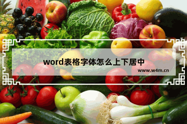 word表格字体怎么上下居中