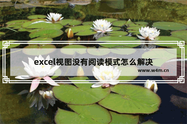 excel视图没有阅读模式怎么解决