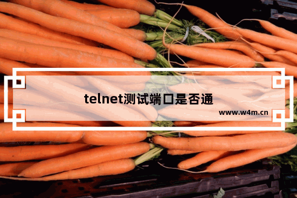 telnet测试端口是否通