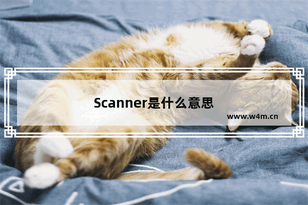 Scanner是什么意思