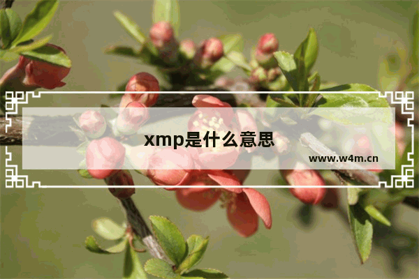 xmp是什么意思