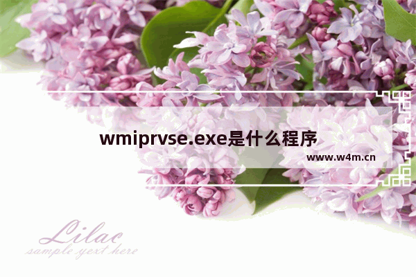 wmiprvse.exe是什么程序