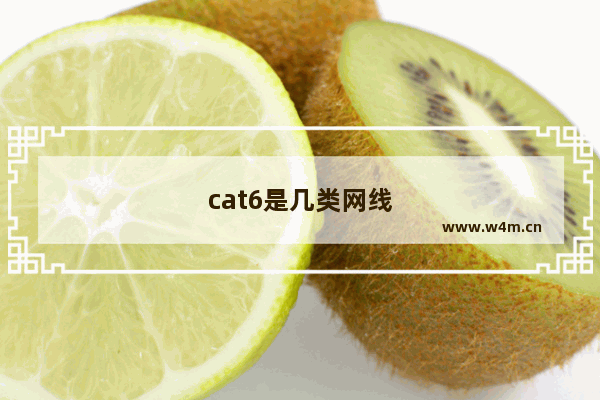 cat6是几类网线