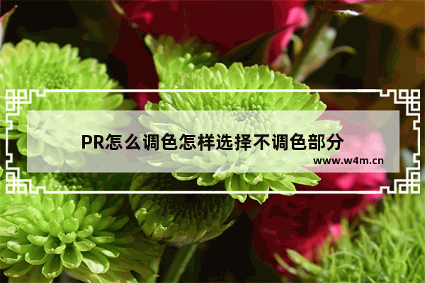 PR怎么调色怎样选择不调色部分