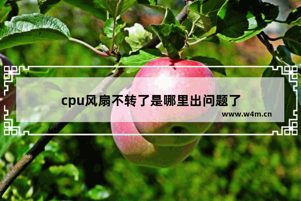 cpu风扇不转了是哪里出问题了