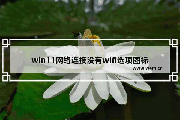 win11网络连接没有wifi选项图标