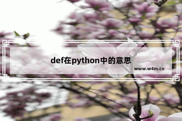 def在python中的意思