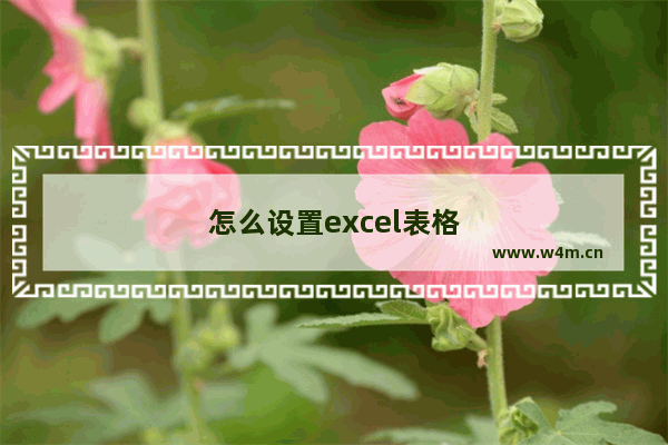 怎么设置excel表格