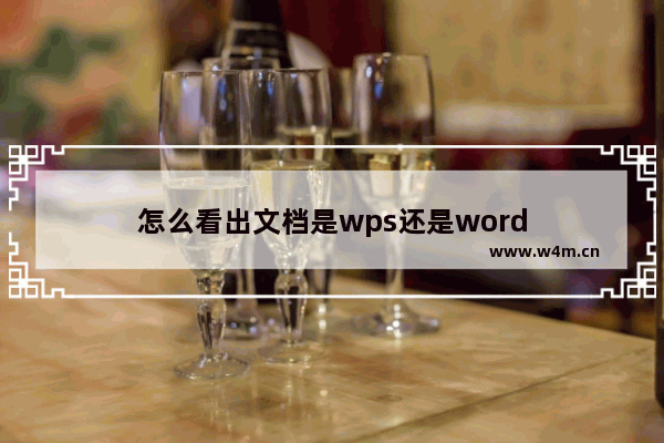 怎么看出文档是wps还是word