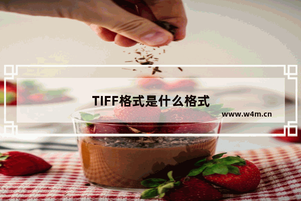 TIFF格式是什么格式