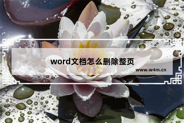 word文档怎么删除整页