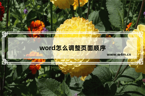 word怎么调整页面顺序