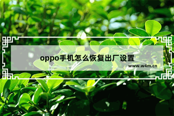 oppo手机怎么恢复出厂设置