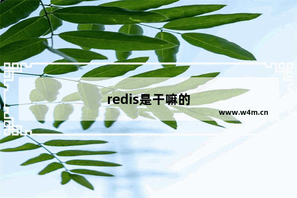 redis是干嘛的