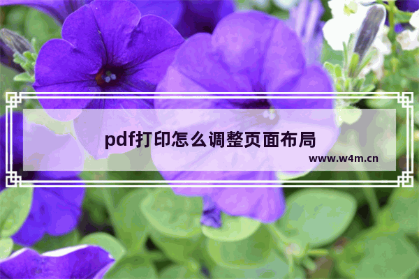 pdf打印怎么调整页面布局