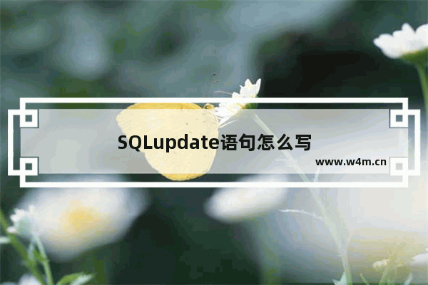 SQLupdate语句怎么写