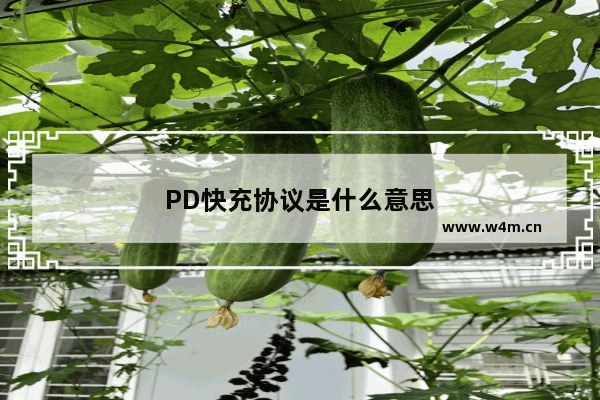 PD快充协议是什么意思