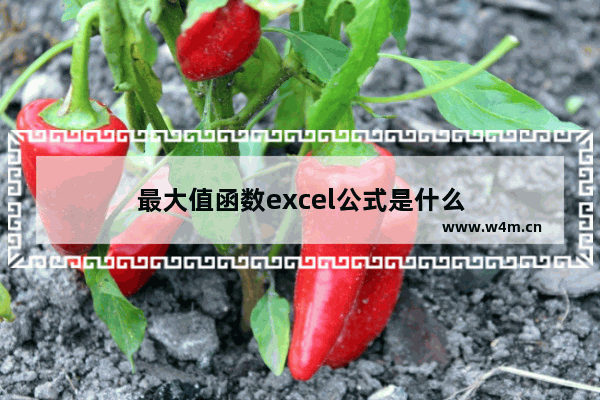 最大值函数excel公式是什么