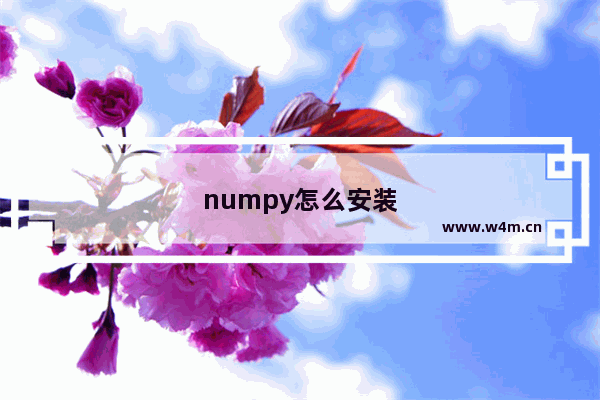 numpy怎么安装