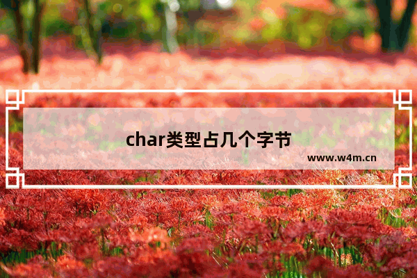 char类型占几个字节