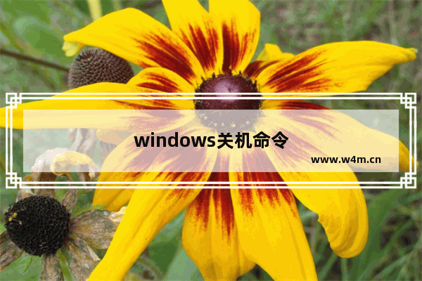 windows关机命令