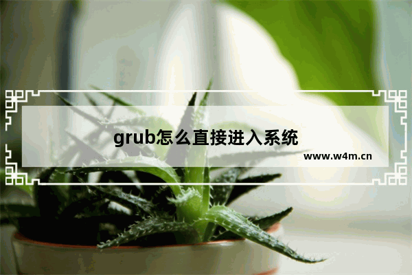 grub怎么直接进入系统