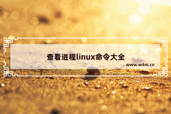 查看进程linux命令大全