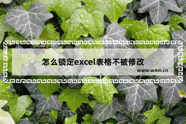 怎么锁定excel表格不被修改